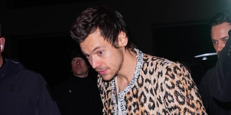 Harry Styles leopard print fashion steals the spotlight