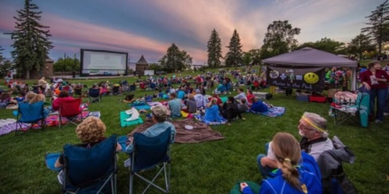Downtown duluth summer movies: vote for your favorites