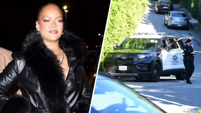Rihanna house shooting suspect enters not guilty plea