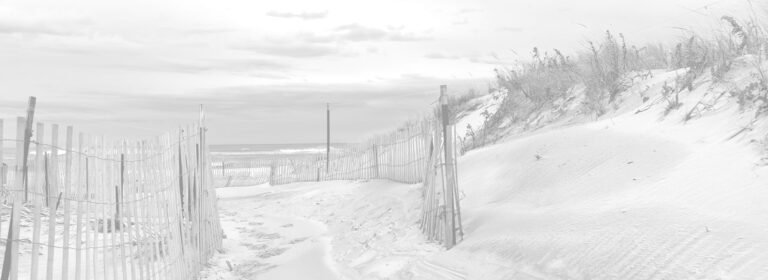 Asia Kate Dillon net worth in 2026 revealed