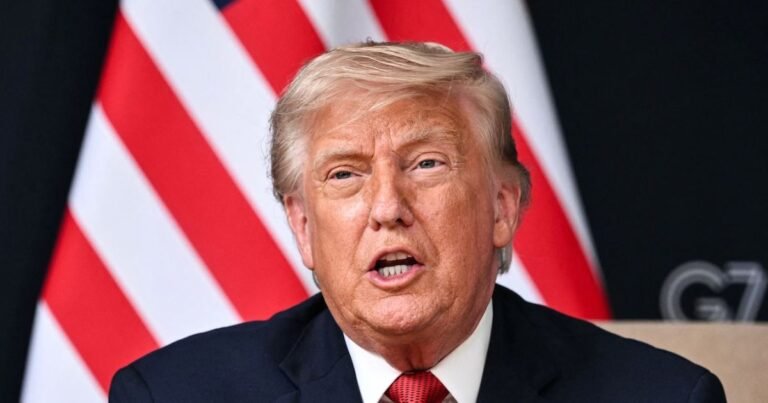 Donald Trump mystery woman sparks social media buzz