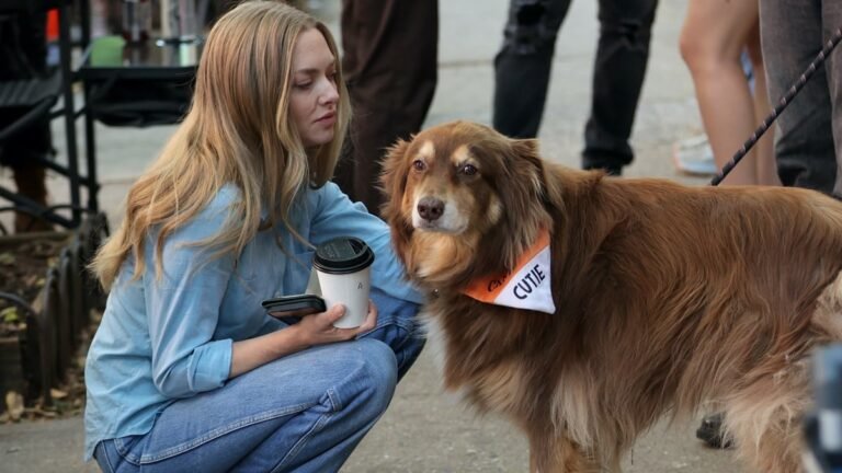 Amanda seyfried dog finn dies, actress shares emotional tribute