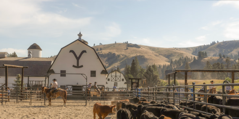 How to watch yellowstone spinoffs in order the right way